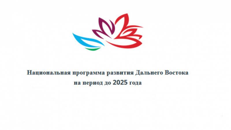 На портале дв2025.рф стартовало голосование по Нацпрограмме развития Дальнего Востока