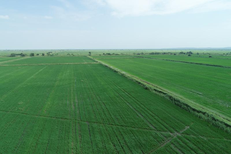 Резидент ТОР создал агроферму для выращивания зерна в Приморском крае